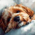 sick_cavapoo_dog_2